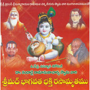 Srimad Bhagavatha Bhakthi Rasa... (DVD)