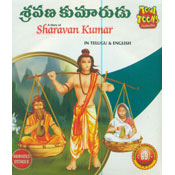 Shravana Kumarudu (VCD)