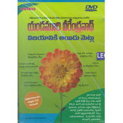 Vijayaniki Ayidu Metlu (DVD)