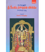 Sri Venkata Nagaadhipati Satakamu